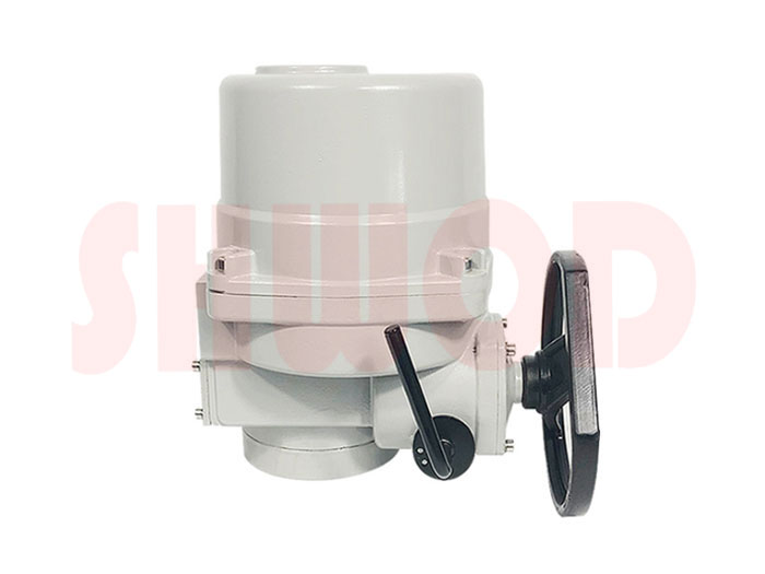 91麻豆精品国产精品执行器